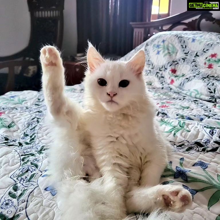 Kavita Kaushik Instagram - Chabche paala baccha kaun ??? ☝️