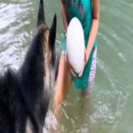 Kavita Kaushik Instagram - Jungle, River and some 🐺🐺🐺