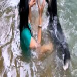 Kavita Kaushik Instagram – Jungle, River and some 🐺🐺🐺