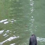 Kavita Kaushik Instagram – Jungle, River and some 🐺🐺🐺