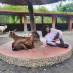 Kavita Kaushik Instagram – Now these are whom I call friends ❤️ Grateful forever for this Heaven where animals aren’t caged , each life is cared for and its play o clock always 🥰 💖 #farmlife #shivaaz #lovelanguage #where #animals #are #valued #God #resides #there