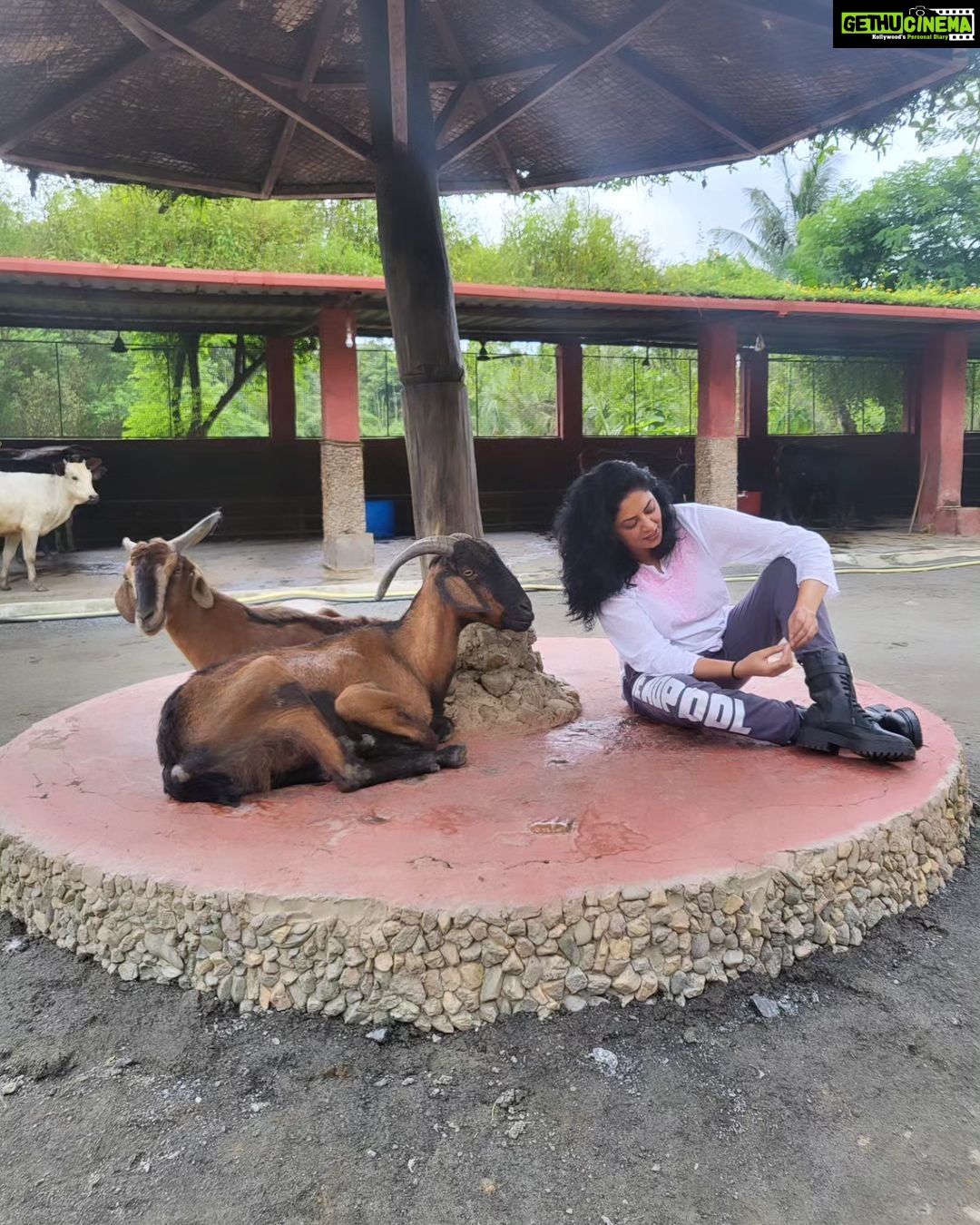 Kavita Kaushik Instagram - Now these are whom I call friends β€οΈ Grateful forever for this Heaven where animals aren't caged , each life is cared for and its play o clock always π₯° π #farmlife #shivaaz #lovelanguage #where #animals #are #valued #God #resides #there