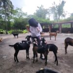 Kavita Kaushik Instagram – Now these are whom I call friends β€οΈ Grateful forever for this Heaven where animals aren’t caged , each life is cared for and its play o clock always π₯° π #farmlife #shivaaz #lovelanguage #where #animals #are #valued #God #resides #there