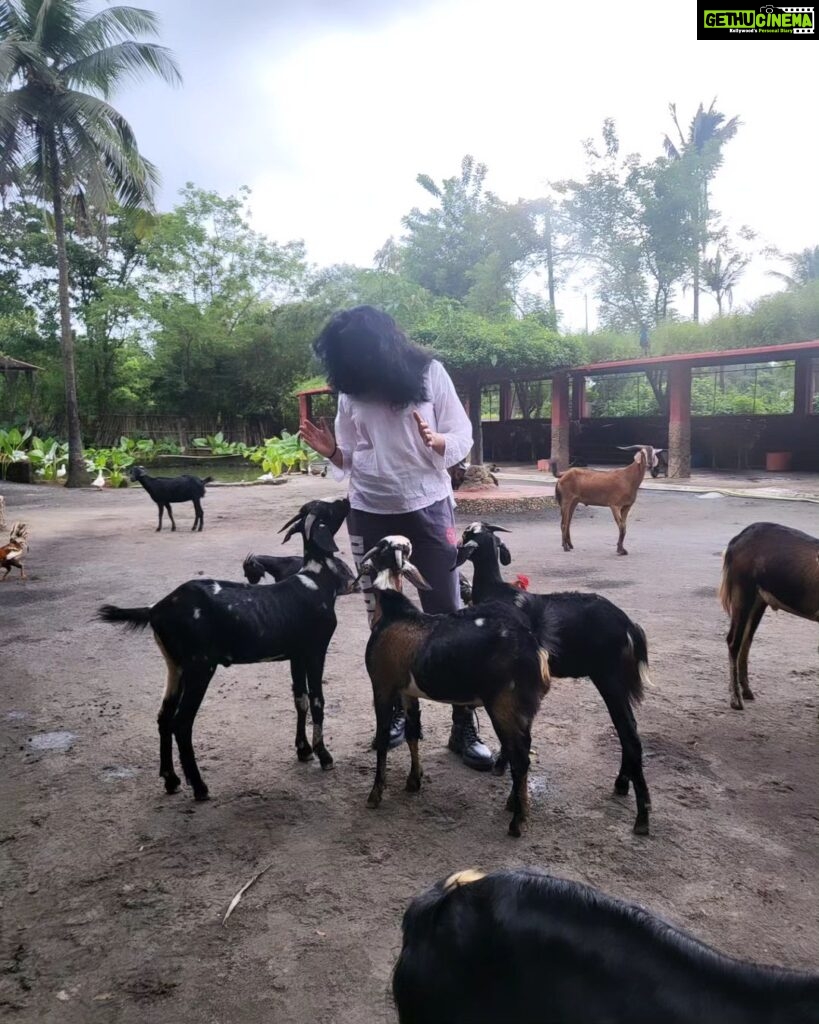 Kavita Kaushik Instagram - Now these are whom I call friends ❤️ Grateful forever for this Heaven where animals aren't caged , each life is cared for and its play o clock always 🥰 💖 #farmlife #shivaaz #lovelanguage #where #animals #are #valued #God #resides #there