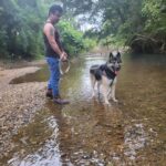 Kavita Kaushik Instagram – Now these are whom I call friends β€οΈ Grateful forever for this Heaven where animals aren’t caged , each life is cared for and its play o clock always π₯° π #farmlife #shivaaz #lovelanguage #where #animals #are #valued #God #resides #there