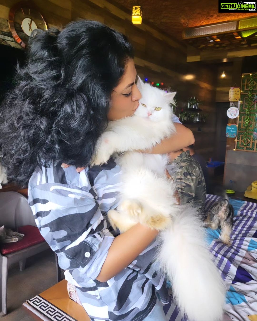 Kavita Kaushik Instagram - Now these are whom I call friends β€οΈ Grateful forever for this Heaven where animals aren't caged , each life is cared for and its play o clock always π₯° π #farmlife #shivaaz #lovelanguage #where #animals #are #valued #God #resides #there
