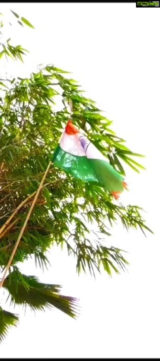 Kay Kay Menon Instagram - #HarGharTiranga🇮🇳 Happy Independence Day! स्वतंत्रता दिवस की हार्दिक शुभकामनाएं!! #NationFirst🇮🇳❤️ #VandeMataram