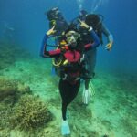 Keerthi Pandian Instagram - There is SO MUCH beauty in the world under water and this was my first step in exploring it 🧜🏾‍♀️ Always knew I was a water baby, but this first Scuba Dive showed me that I truly belong there. The breathing, moving, dancing away, everything seemed so familiar. So peaceful. 🩵 It was the most perfect birthday this year ♥️ #throwback #february #scubadiving #andaman #birthday #love Havelock Island , Andaman and Nicobar Islands, India