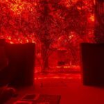 Keerthi Pandian Instagram - Photo Dump of many things I love in this beautiful space that transforms me every time I visit @adishaktitheatre April 2022 ; Unlearning Learning and Growth I love you my dear @adishaktitheatre ♥️ - Popsicle Theatre Love Swing Filter Lights ice cream swimming pool Floor Blackshit - #rememberingveenapanifestival #adishaktitheatre #theatreindia Adishakti Theatre