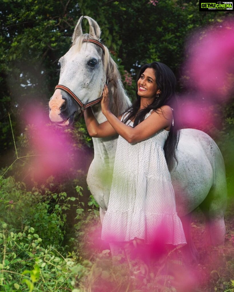 Keerthi Pandian Instagram - The most special shoot in 2021 ♥️ (and I just can’t stop smiling) What fun it was to shoot for the 2022 BMAD fundraiser Calendar @besantmemorialanimaldispensary ♥️ Animal interactions are always the best and it’s an amazing experience just to visit @besantmemorialanimaldispensary Got to meet Mr.Veera, one handsome Marwari Stallion ♥️ He was a wedding procession horse, abused and abandoned. Having been rescued, BMAD has given him the peaceful life he deserves. (In the last video you get to see how even after all the torturous years he’s had outside, he learns to trust in humans again, trusting he wont be hurt, again) The 2022 calendar from @besantmemorialanimaldispensary has many of the animal survivors that BMAD has given a happy life they deserve. With every purchase of the BMAD calendar, the amount is only benefitted by abused/abandoned animals such as Veera. Purchase Link in bio of @besantmemorialanimaldispensary ALSO, the calendar with these animals would TOTALY add some colour to your desk/wall 🤓 Photography: @shantanukrishnanphotography Design: @ranjani.design Besant Memorial Animal Dispensary