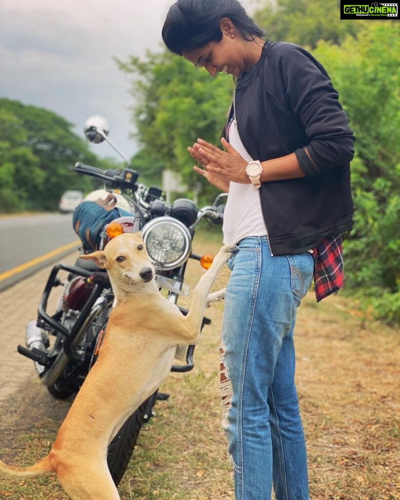Keerthi Pandian Instagram - Doggo : Hey hey I love you!!! Doggo : okay, let’s pose now! This fellow came out of nowhere when I stopped for a break in the middle of nowhere. Showered some unconditional love and disappeared ♥️ Changing my mood from complete blankness to only love. Animals are just EVERYTHING ♥️ #doggo #love