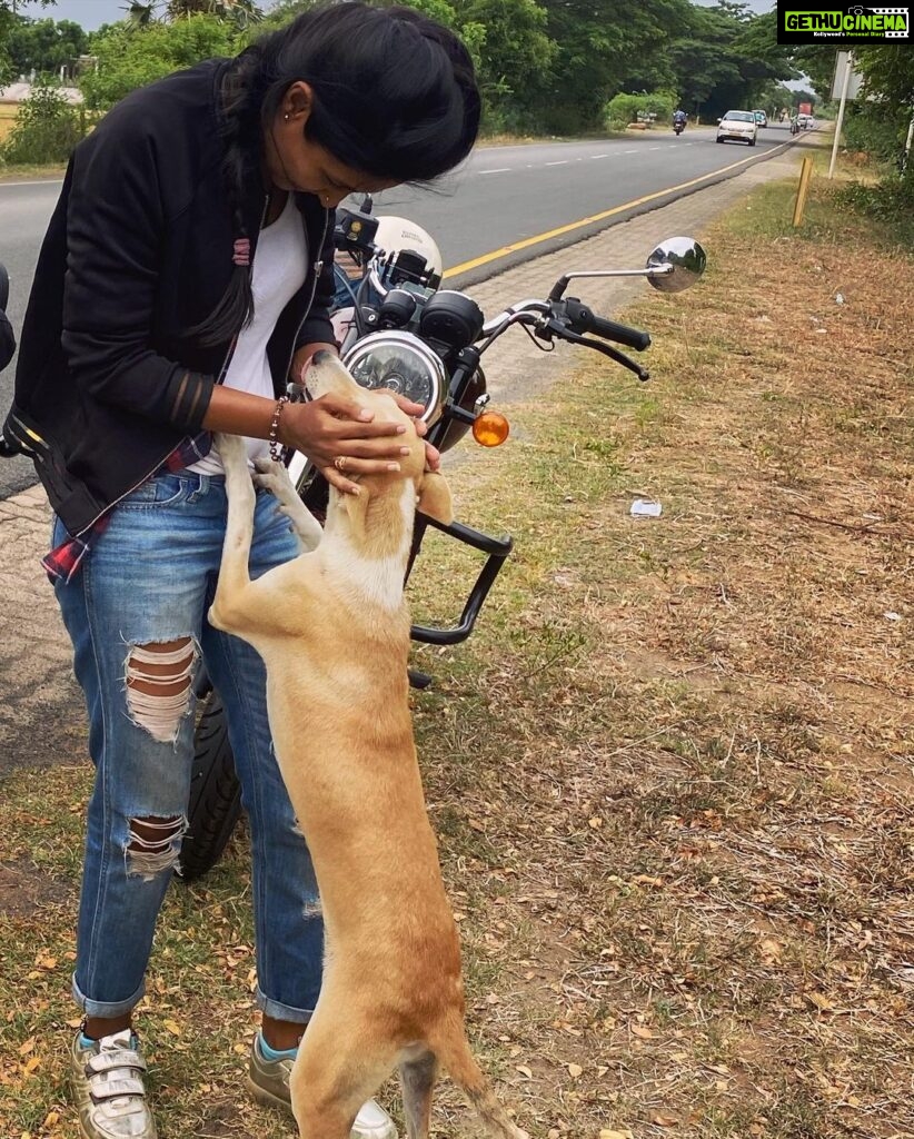 Keerthi Pandian Instagram - Doggo : Hey hey I love you!!! Doggo : okay, let’s pose now! This fellow came out of nowhere when I stopped for a break in the middle of nowhere. Showered some unconditional love and disappeared ♥️ Changing my mood from complete blankness to only love. Animals are just EVERYTHING ♥️ #doggo #love
