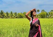 Keerthi Pandian Instagram - 🐮🌴 Favourite day of the festival! ♥️ Happy Maattu Pongal. 🐮 #pongal திருநெல்வேலி