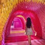 Keerthi Pandian Instagram - Everything about this place makes me SO joyous! 💕 My happy colour!💗 It was like my very own #wonderland 💓 #pink #love #icecream #singapore #museumoficecream MUSEUM OF ICE CREAM SG