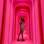 Keerthi Pandian Instagram - Everything about this place makes me SO joyous! 💕 My happy colour!💗 It was like my very own #wonderland 💓 #pink #love #icecream #singapore #museumoficecream MUSEUM OF ICE CREAM SG