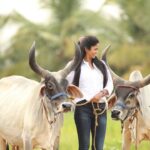 Keerthi Pandian Instagram - Say Hello to Rukkumani and Azhagi ♥️♥️ #thottam திருநெல்வேலி