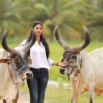 Keerthi Pandian Instagram - Say Hello to Rukkumani and Azhagi ♥️♥️ #thottam திருநெல்வேலி