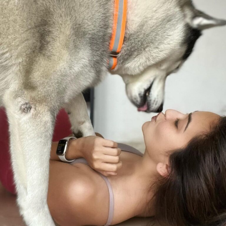 Kriti Kharbanda Instagram - My little baby turns a year younger! 😍😍 @drogohusky you are the best thing that’s happened to me in a long long time! 🫶🏻🫶🏻🫶🏻 . . . #leobaby #drogo #dogsofinstagram #sundayfunday #happyfriendshipday ♥️♥️♥️