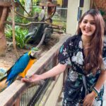 Kritika Sharma Instagram – Langkawi wildlife park ! 
Saw some amazing and never seen animals and birds . 
Outfit @luluandskyofficial 

#travel #wildlife #zoo #langkawi #malaysia #wildlifepark Langkawi Island