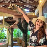 Kritika Sharma Instagram – Langkawi wildlife park ! 
Saw some amazing and never seen animals and birds . 
Outfit @luluandskyofficial 

#travel #wildlife #zoo #langkawi #malaysia #wildlifepark Langkawi Island