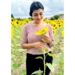 Lahari Shari Instagram - Feeling like a sunflower among sunflowers! 🌻🌻, Can't stop smiling, surrounded by the happiest flowers in the world 🌻☀️ Hampi's Seetharama Tanda Sunflower Garden is definitely a bucket list destination for any flower lover! 🌺🌼 #SunflowerLove #Hampi #SeetharamaTanda #NatureRocks #HappyVibes #HappySunflower #HampiHeaven #FlowerPower