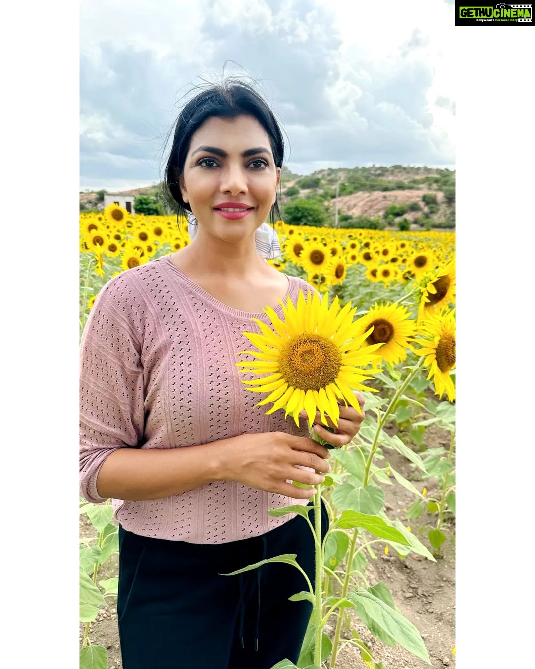 Lahari Shari Instagram - Sun-kissed and surrounded by sunshine! āļøš» Feeling ecstatic in the beautiful Seetharama Tanda Sunflower Garden in Hampi. Holding this bright and cheerful sunflower just adds to the excitement! 𤩠#smilingfromear-to-ear #sunflowerlove #hampidiaries #seetharamatandasunflowergarden #morningbliss #travelgoals #naturelover #excitedforadayinthesun #morningvibes