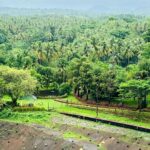 Lahari Shari Instagram - Embracing the serenity of nature at Salaulim Dam, Goa. 🌿✨ Letting the vibrant greens and the calming waters wash away all worries. 💚🌊 Designer and Stylist : @adamohyd #NatureHeals #GoaVibes #PeacefulEscapes #GoaGreenery #RoadToHappiness #NatureLove #GoaVibes Salaulim Dam Goa