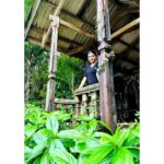 Lahari Shari Instagram - Brave souls, beware. The D'Mello House in Santimol will send shivers down your spine. Are you ready to face the haunting history of Goa's most infamous spot? 👻 The D’Mello House in Santimol is one of the most haunted places in Goa. The house, bears a deserted look and has no buyers because it is believed to be haunted. The story talks of two brothers who once lived in this house. While arguing over the ancestral property, one of them killed the other. Ever since, the house is rumoured to be cursed that no family will ever be able to come to a harmonious division of the estate. According to folklore. Noises like falling of some object, a loud cry, shrieking sounds in night can be heard in the house, The sounds are often linked to the spirit of the dead brother. #Haunted #Dramatic #ExploreGoa #DareToExplore #HauntedAdventures #SpookyGoa #Chills #Goa #DMelloHouse