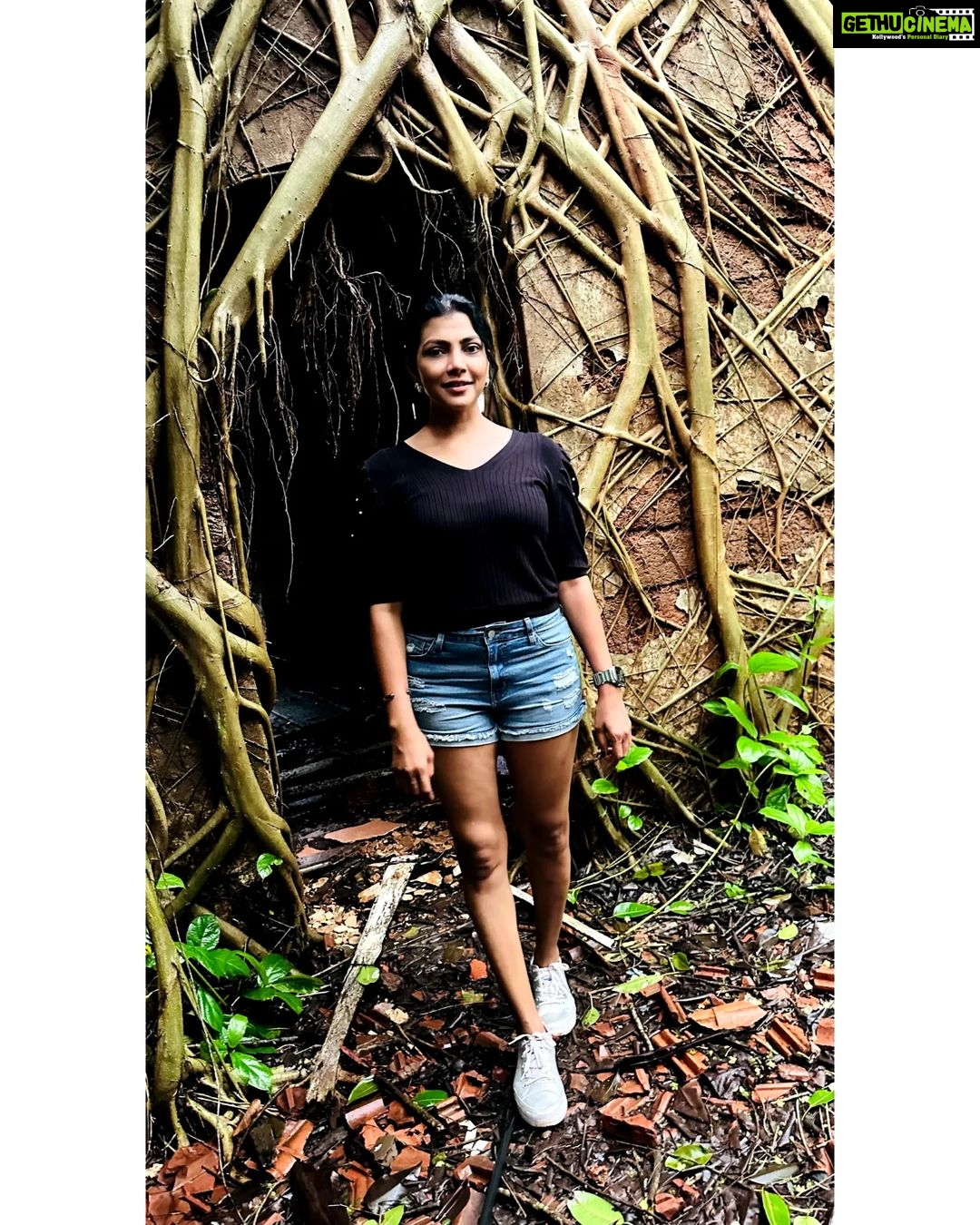 Lahari Shari Instagram - Brave souls, beware. The D'Mello House in Santimol will send shivers down your spine. Are you ready to face the haunting history of Goa's most infamous spot? š» The DāMello House in Santimol is one of the most haunted places in Goa. The house, bears a deserted look and has no buyers because it is believed to be haunted. The story talks of two brothers who once lived in this house. While arguing over the ancestral property, one of them killed the other. Ever since, the house is rumoured to be cursed that no family will ever be able to come to a harmonious division of the estate. According to folklore. Noises like falling of some object, a loud cry, shrieking sounds in night can be heardĀ inĀ theĀ house, The sounds are often linked to the spirit of the dead brother. #Haunted #Dramatic #ExploreGoa #DareToExplore #HauntedAdventures #SpookyGoa #Chills #GoaĀ #DMelloHouse