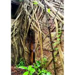 Lahari Shari Instagram - Brave souls, beware. The D'Mello House in Santimol will send shivers down your spine. Are you ready to face the haunting history of Goa's most infamous spot? 👻 The D’Mello House in Santimol is one of the most haunted places in Goa. The house, bears a deserted look and has no buyers because it is believed to be haunted. The story talks of two brothers who once lived in this house. While arguing over the ancestral property, one of them killed the other. Ever since, the house is rumoured to be cursed that no family will ever be able to come to a harmonious division of the estate. According to folklore. Noises like falling of some object, a loud cry, shrieking sounds in night can be heard in the house, The sounds are often linked to the spirit of the dead brother. #Haunted #Dramatic #ExploreGoa #DareToExplore #HauntedAdventures #SpookyGoa #Chills #Goa #DMelloHouse