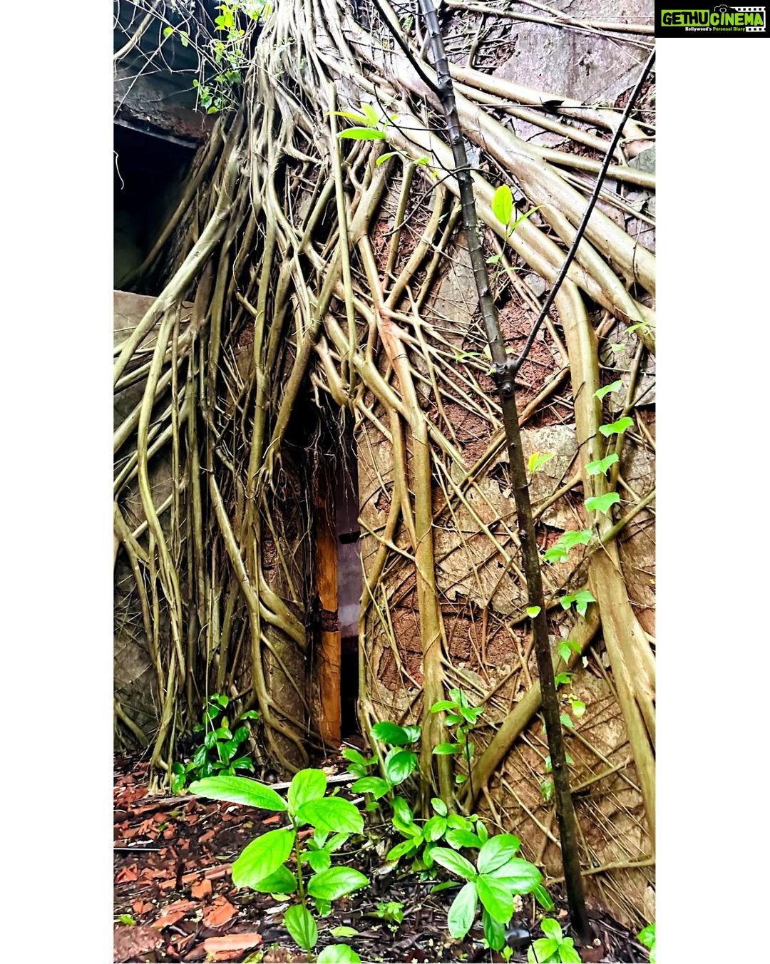 Lahari Shari Instagram - Brave souls, beware. The D'Mello House in Santimol will send shivers down your spine. Are you ready to face the haunting history of Goa's most infamous spot? š» The DāMello House in Santimol is one of the most haunted places in Goa. The house, bears a deserted look and has no buyers because it is believed to be haunted. The story talks of two brothers who once lived in this house. While arguing over the ancestral property, one of them killed the other. Ever since, the house is rumoured to be cursed that no family will ever be able to come to a harmonious division of the estate. According to folklore. Noises like falling of some object, a loud cry, shrieking sounds in night can be heardĀ inĀ theĀ house, The sounds are often linked to the spirit of the dead brother. #Haunted #Dramatic #ExploreGoa #DareToExplore #HauntedAdventures #SpookyGoa #Chills #GoaĀ #DMelloHouse