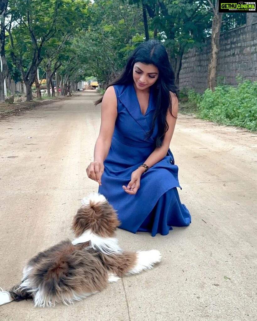 Lahari Shari Instagram - Chillin' with my fur baby, feeling pawsome! 🐶💙 Life is ruff, but moments like these make it worth every wag. 🌞🐾🌻 #GoodMorning #PuppyLove #FurBaby #LifeIsBeautiful #HappinessOverload Designer and Stylist : @adamohyd Hyderabad
