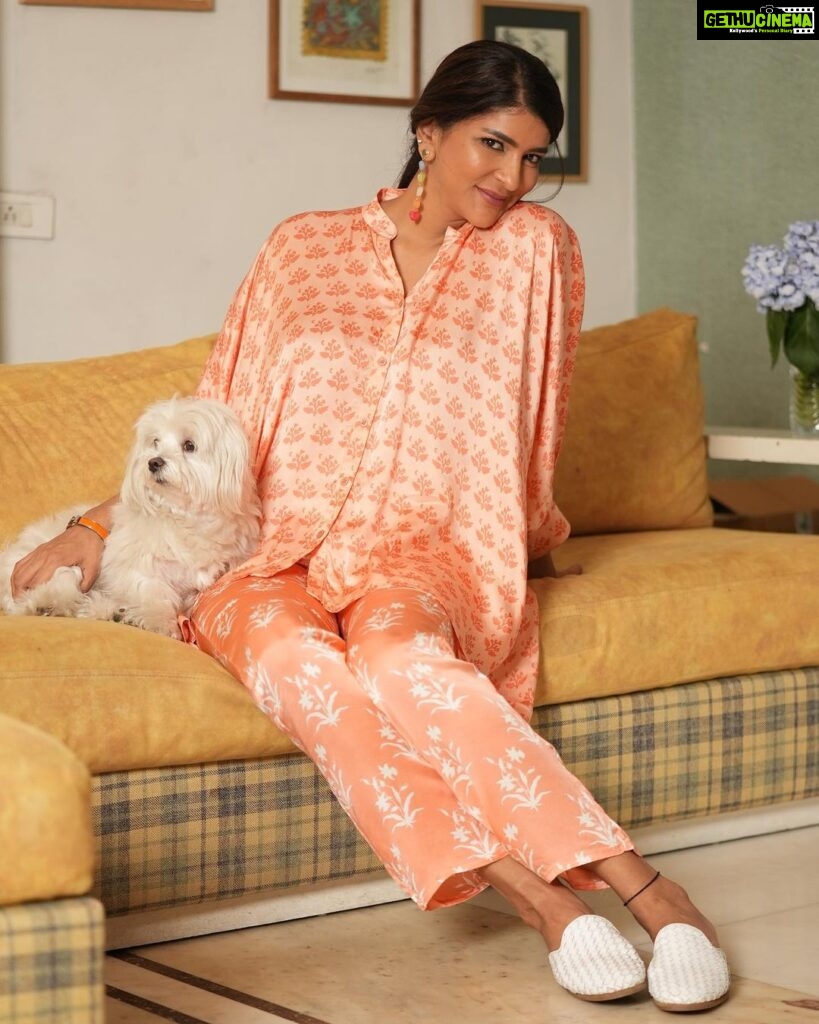 Lakshmi Manchu Instagram - Anything is paws-ible with a dog by your side🐾
