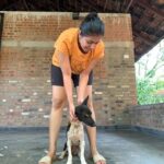 Leona Lishoy Instagram - Kaju ❤️ She was not just a co-actor in our improv acts, but also one of the most empathetic being around. She was right there when we needed love. She would walk with us if she knew we weren’t doing fine. Ah! Such an adorable one! I miss her :( 📸 @reyshma_krishnan #kaju #natanakairali #navarasasadhana #actingworkshop Natanakairali