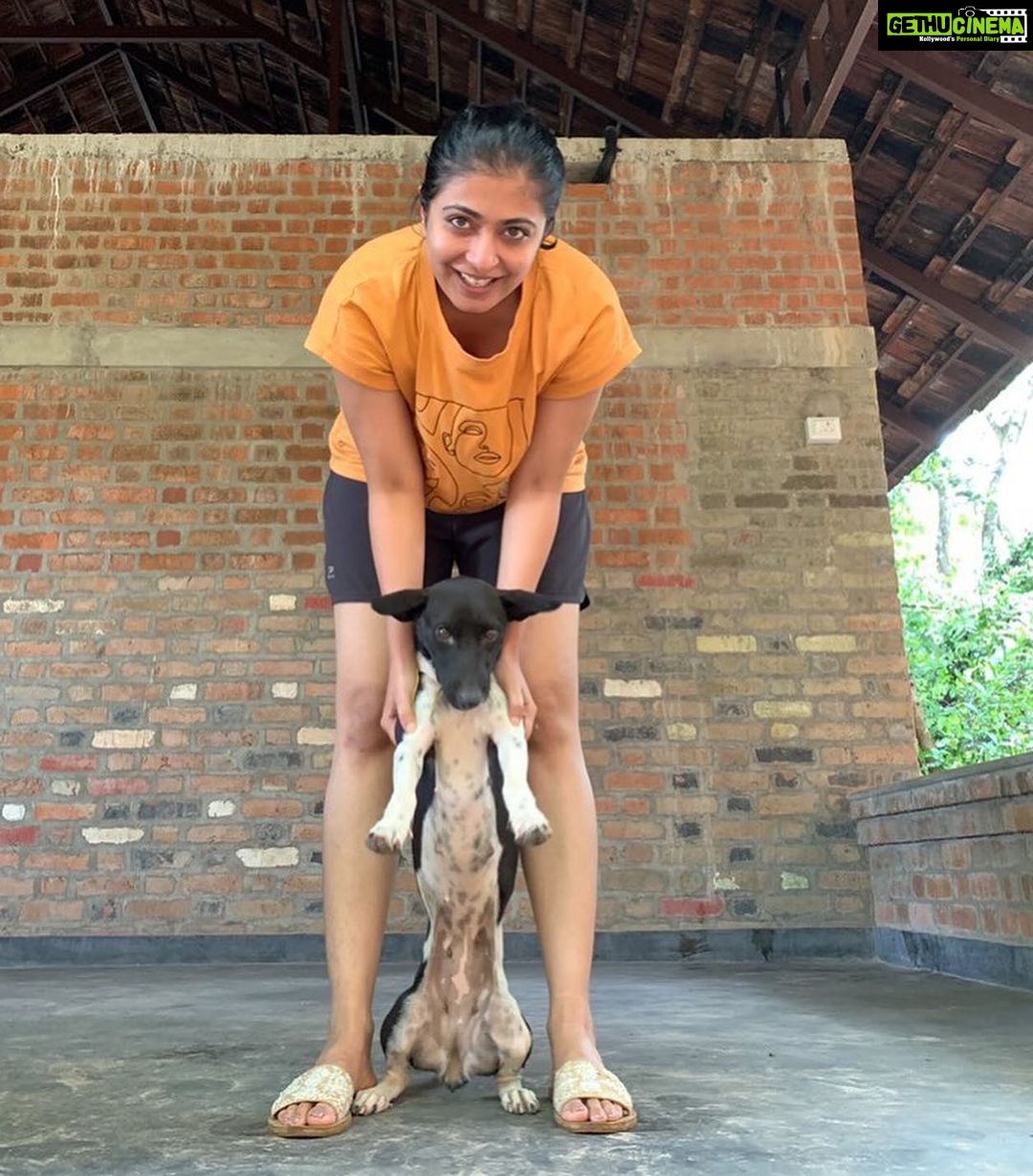 Leona Lishoy Instagram - Kaju ❤️ She was not just a co-actor in our improv acts, but also one of the most empathetic being around. She was right there when we needed love. She would walk with us if she knew we weren’t doing fine. Ah! Such an adorable one! I miss her :( 📸 @reyshma_krishnan #kaju #natanakairali #navarasasadhana #actingworkshop Natanakairali