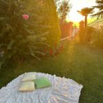 Lisa Ray Instagram - Places I sat Beirut. August 2023