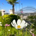 Lisa Ray Instagram - Beirut 2023. Feitroun, Mont-Liban, Lebanon