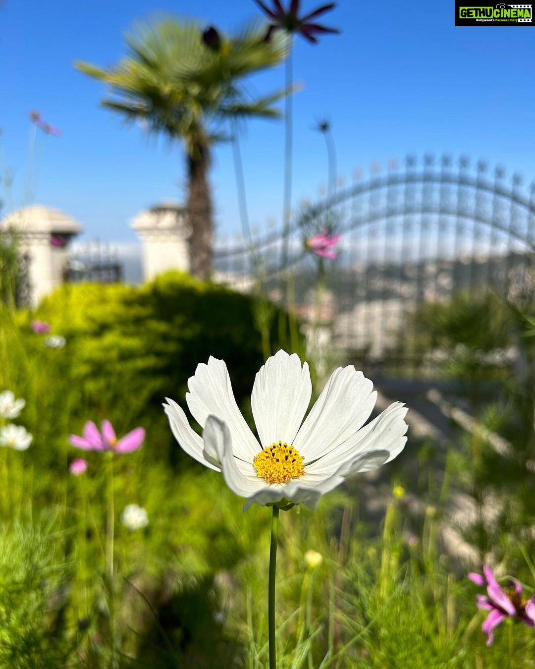 Lisa Ray Instagram - Beirut 2023. Feitroun, Mont-Liban, Lebanon