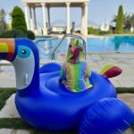 Lisa Ray Instagram - DND #Beirut Feitroun, Mont-Liban, Lebanon