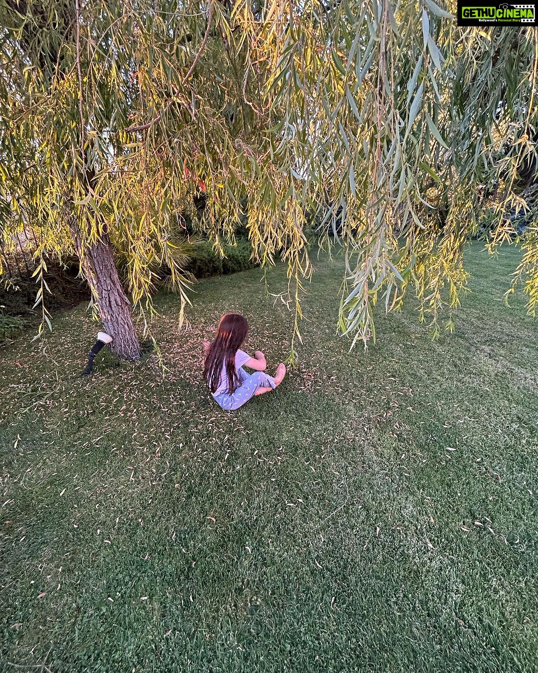 Lisa Ray Instagram - Things we made, harvested, ate. I grew up with a backyard garden that provided a bounty of fruits and vegetables that my mother would boil, pickle and bottle for the winter. I climbed our crab apple trees behind the garden shed and spent long, dreamy afternoons suspended between earth and sky. One of the greatest gifts of our time in Beirut was offering some of the same experiences to my girls. They climbed, they wandered the vast vegetable patch to pick cucumbers and tomatoes and helped their theta (grandmother) bake and dry various leaves, fresh almonds and sour grapes that were ground into a flavouring mix. And they learned the secret language of leaves. I talk trees since I was very small and now Sufi and Soleil have been initiated. You learn- you learn as you age- that our connection with the land and simple ancestral rituals often sooth and heal in ways where language - and formal therapy- fails.