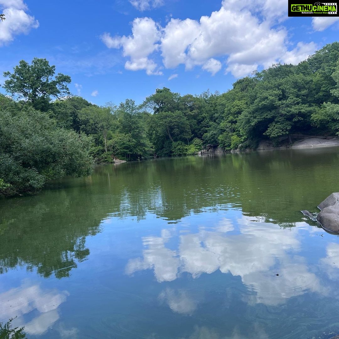 Manasi Parekh Instagram - Celebrating #worldenvironmentday today at #centralpark.. how can we ever take this earth, skies and water for granted? Ever grateful for the wonderful planet we live on and hoping we can safeguard it for the future 🌳♥️ #nofilter #naturalbeauty Central Park NY City