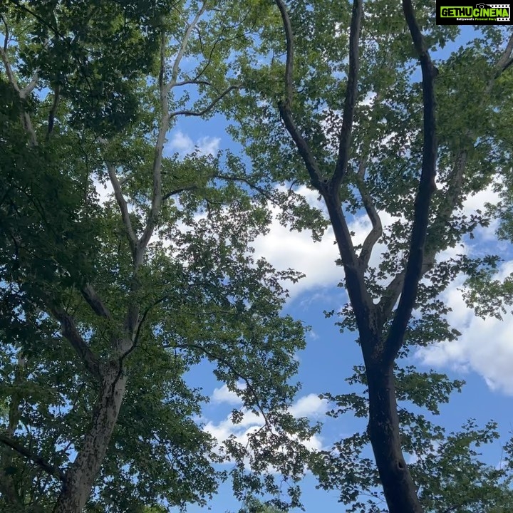 Manasi Parekh Instagram - Celebrating #worldenvironmentday today at #centralpark.. how can we ever take this earth, skies and water for granted? Ever grateful for the wonderful planet we live on and hoping we can safeguard it for the future 🌳♥️ #nofilter #naturalbeauty Central Park NY City