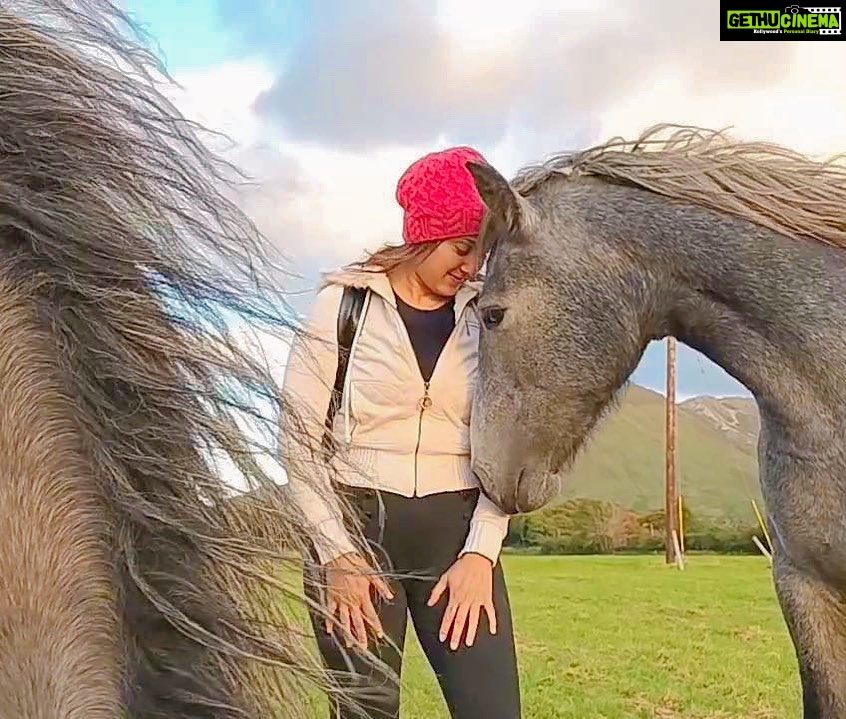 Manjari Fadnnis Instagram - 🐴😍❤️🫶🏻 That’s Eggie. Spending time with these lovely horses of Kylemore Abbey was one of my highlights of my trip to Ireland in September 2022. One of the reasons I love travelling solo is the fact that it gives me a chance to connect with the locals, living the life at the places I visit. & because I make friends easily while I travel I get to experience their way of life too. This experience of spending time with these lovely horses running wild in the ranch on open fields happily without being contained in small stables wouldn’t have been possible, had i not met these lovely bunch of people I made friends with over a pool game at this pub called Moley’s at Letterfrack, Connemara. One of them who took care of these lovely beings offered to make me meet these horses of Kylemore Abbey. & there! I got a moment I’ll cherish forever. Thanks @fiachramac for capturing the moment.🤗 #solo #solotravel #ireland #travel #traveldiaries #horses #horsesofinstagram #connemarapony #connemara
