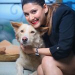 Manjari Fadnnis Instagram - That’s Charlie 🐕❤️ our building stray who waits near the lift & whenever anyone gets in, he walks in all excited with them & finds his way to my door on my floor, knocks with his paw 🐾 & walks in home eats a good meal & sleeps all day & once he’s well rested, he knocks on the door again to be dropped down. Oh y’a & he also gets occasional baths from me or a few other people here, when he gets dirty. But Charlie wasn’t always a stray. ….I 1st time found him in our residential complex chilling inside a baby pool in the clubhouse (while it was shut during the lockdown). He loves water… He used to just randomly jump into the fish pond in the club, just for kicks to play with the fish… 😅 We soon realised he was an abandoned baby, amongst the many dogs who got abandoned by families during Corona times… I don’t know how can anyone have the heart to do that. Disgusts me… He used to wait near the lift & cry as if waiting for his family to just take him home. It broke our hearts… The other strays in the society used to try bullying him, but he held his ground, just stood there fearlessly & let them bark it out. Till they all got used to his presence. He slowly made a place for himself & steadily with his sweet gentle personality, won the hearts of everyone in our colony & we named him Charlie. 😊 We tried getting him adopted but no one took him in since he was already a grown up dog & not a breed (Though he looks like a cross between a Husky & a Golden Retriever with hazel eyes. He’s gorgeous) Anyway, He’s now used to treating this beautiful complex as his home… while a few of us here give him all the love & care he needs. & now instead of 1 home he has found homes in 6/7 different houses here including mine, where he’s welcome, (Btw he’s very sweet with cats too) He visits us, sleeps all day & leaves when he feels like. (Our building society was sweet enough to make an exception for him otherwise they are very strict with rules for strays) I guess he gets the best of both worlds now.. Home when home & Freedom when he wants to be wild! #adoptdontshop #bestofbothworlds #straydogs #mixbreed #dontabandonyouranimals