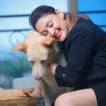 Manjari Fadnnis Instagram - That’s Charlie 🐕❤️ our building stray who waits near the lift & whenever anyone gets in, he walks in all excited with them & finds his way to my door on my floor, knocks with his paw 🐾 & walks in home eats a good meal & sleeps all day & once he’s well rested, he knocks on the door again to be dropped down. Oh y’a & he also gets occasional baths from me or a few other people here, when he gets dirty. But Charlie wasn’t always a stray. ….I 1st time found him in our residential complex chilling inside a baby pool in the clubhouse (while it was shut during the lockdown). He loves water… He used to just randomly jump into the fish pond in the club, just for kicks to play with the fish… 😅 We soon realised he was an abandoned baby, amongst the many dogs who got abandoned by families during Corona times… I don’t know how can anyone have the heart to do that. Disgusts me… He used to wait near the lift & cry as if waiting for his family to just take him home. It broke our hearts… The other strays in the society used to try bullying him, but he held his ground, just stood there fearlessly & let them bark it out. Till they all got used to his presence. He slowly made a place for himself & steadily with his sweet gentle personality, won the hearts of everyone in our colony & we named him Charlie. 😊 We tried getting him adopted but no one took him in since he was already a grown up dog & not a breed (Though he looks like a cross between a Husky & a Golden Retriever with hazel eyes. He’s gorgeous) Anyway, He’s now used to treating this beautiful complex as his home… while a few of us here give him all the love & care he needs. & now instead of 1 home he has found homes in 6/7 different houses here including mine, where he’s welcome, (Btw he’s very sweet with cats too) He visits us, sleeps all day & leaves when he feels like. (Our building society was sweet enough to make an exception for him otherwise they are very strict with rules for strays) I guess he gets the best of both worlds now.. Home when home & Freedom when he wants to be wild! #adoptdontshop #bestofbothworlds #straydogs #mixbreed #dontabandonyouranimals