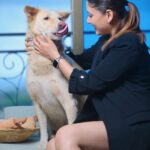 Manjari Fadnnis Instagram - That’s Charlie 🐕❤️ our building stray who waits near the lift & whenever anyone gets in, he walks in all excited with them & finds his way to my door on my floor, knocks with his paw 🐾 & walks in home eats a good meal & sleeps all day & once he’s well rested, he knocks on the door again to be dropped down. Oh y’a & he also gets occasional baths from me or a few other people here, when he gets dirty. But Charlie wasn’t always a stray. ….I 1st time found him in our residential complex chilling inside a baby pool in the clubhouse (while it was shut during the lockdown). He loves water… He used to just randomly jump into the fish pond in the club, just for kicks to play with the fish… 😅 We soon realised he was an abandoned baby, amongst the many dogs who got abandoned by families during Corona times… I don’t know how can anyone have the heart to do that. Disgusts me… He used to wait near the lift & cry as if waiting for his family to just take him home. It broke our hearts… The other strays in the society used to try bullying him, but he held his ground, just stood there fearlessly & let them bark it out. Till they all got used to his presence. He slowly made a place for himself & steadily with his sweet gentle personality, won the hearts of everyone in our colony & we named him Charlie. 😊 We tried getting him adopted but no one took him in since he was already a grown up dog & not a breed (Though he looks like a cross between a Husky & a Golden Retriever with hazel eyes. He’s gorgeous) Anyway, He’s now used to treating this beautiful complex as his home… while a few of us here give him all the love & care he needs. & now instead of 1 home he has found homes in 6/7 different houses here including mine, where he’s welcome, (Btw he’s very sweet with cats too) He visits us, sleeps all day & leaves when he feels like. (Our building society was sweet enough to make an exception for him otherwise they are very strict with rules for strays) I guess he gets the best of both worlds now.. Home when home & Freedom when he wants to be wild! #adoptdontshop #bestofbothworlds #straydogs #mixbreed #dontabandonyouranimals
