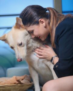 Manjari Fadnnis Instagram - That’s Charlie 🐕❤️ our building stray who waits near the lift & whenever anyone gets in, he walks in all excited with them & finds his way to my door on my floor, knocks with his paw 🐾 & walks in home eats a good meal & sleeps all day & once he’s well rested, he knocks on the door again to be dropped down. Oh y’a & he also gets occasional baths from me or a few other people here, when he gets dirty. 
But Charlie wasn’t always a stray. 

….I 1st time found him in our residential complex chilling inside a baby pool in the clubhouse (while it was shut during the lockdown). He loves water… He used to just randomly jump into the fish pond in the club, just for kicks to play with the fish… 😅 We soon realised he was an abandoned baby, amongst the many dogs who got abandoned by families during Corona times… I don’t know how can anyone have the heart to do that. Disgusts me… 
He used to wait near the lift & cry as if waiting for his family to just take him home. It broke our hearts… 
The other strays in the society  used to try bullying him, but he held his ground, just stood there fearlessly & let them bark it out. Till they all got used to his presence. He slowly made a place for himself & steadily with his sweet gentle personality, won the hearts of everyone in our colony & we named him Charlie. 😊 
We tried getting him adopted but no one took him in since he was already a grown up dog & not a breed (Though he looks like a cross between a Husky & a Golden Retriever with hazel eyes. He’s gorgeous) 
Anyway, He’s now used to treating this beautiful complex as his home… while a few of us here give him all the love & care he needs.
& now instead of 1 home he has found homes in 6/7 different houses here including mine, where he’s welcome, (Btw he’s very sweet with cats too) He visits us, sleeps all day & leaves when he feels like. (Our building society was sweet enough to make an exception for him otherwise they are very strict with rules for strays)
I guess he gets the best of both worlds now.. Home when home & Freedom when he wants to be wild! 

#adoptdontshop #bestofbothworlds  #straydogs #mixbreed #dontabandonyouranimals