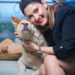 Manjari Fadnnis Instagram - That’s Charlie 🐕❤️ our building stray who waits near the lift & whenever anyone gets in, he walks in all excited with them & finds his way to my door on my floor, knocks with his paw 🐾 & walks in home eats a good meal & sleeps all day & once he’s well rested, he knocks on the door again to be dropped down. Oh y’a & he also gets occasional baths from me or a few other people here, when he gets dirty. But Charlie wasn’t always a stray. ….I 1st time found him in our residential complex chilling inside a baby pool in the clubhouse (while it was shut during the lockdown). He loves water… He used to just randomly jump into the fish pond in the club, just for kicks to play with the fish… 😅 We soon realised he was an abandoned baby, amongst the many dogs who got abandoned by families during Corona times… I don’t know how can anyone have the heart to do that. Disgusts me… He used to wait near the lift & cry as if waiting for his family to just take him home. It broke our hearts… The other strays in the society used to try bullying him, but he held his ground, just stood there fearlessly & let them bark it out. Till they all got used to his presence. He slowly made a place for himself & steadily with his sweet gentle personality, won the hearts of everyone in our colony & we named him Charlie. 😊 We tried getting him adopted but no one took him in since he was already a grown up dog & not a breed (Though he looks like a cross between a Husky & a Golden Retriever with hazel eyes. He’s gorgeous) Anyway, He’s now used to treating this beautiful complex as his home… while a few of us here give him all the love & care he needs. & now instead of 1 home he has found homes in 6/7 different houses here including mine, where he’s welcome, (Btw he’s very sweet with cats too) He visits us, sleeps all day & leaves when he feels like. (Our building society was sweet enough to make an exception for him otherwise they are very strict with rules for strays) I guess he gets the best of both worlds now.. Home when home & Freedom when he wants to be wild! #adoptdontshop #bestofbothworlds #straydogs #mixbreed #dontabandonyouranimals