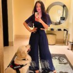 Maryam Zakaria Instagram - Look who is in my Mirror reels 😍😍😍 @rockycutiegolden #mirrorreels #goldenretriever #doglover #goldenretrieversofinstagram #reelitfeelit
