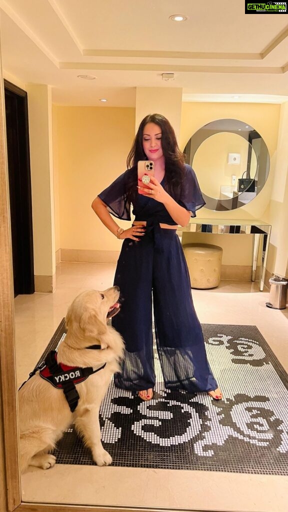 Maryam Zakaria Instagram - Look who is in my Mirror reels 😍😍😍 @rockycutiegolden #mirrorreels #goldenretriever #doglover #goldenretrieversofinstagram #reelitfeelit